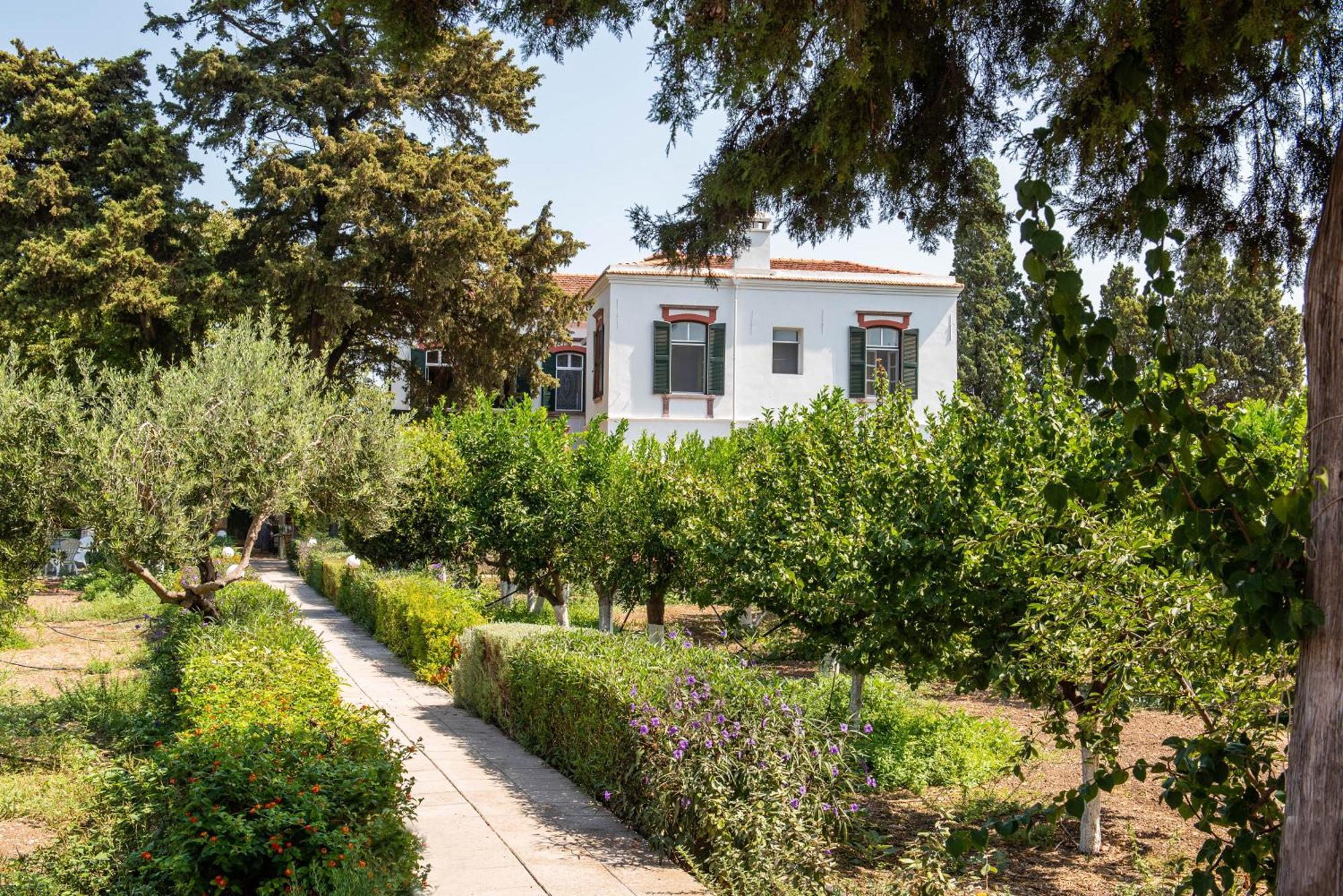 Calvocoressi Estate Híosz Kültér fotó